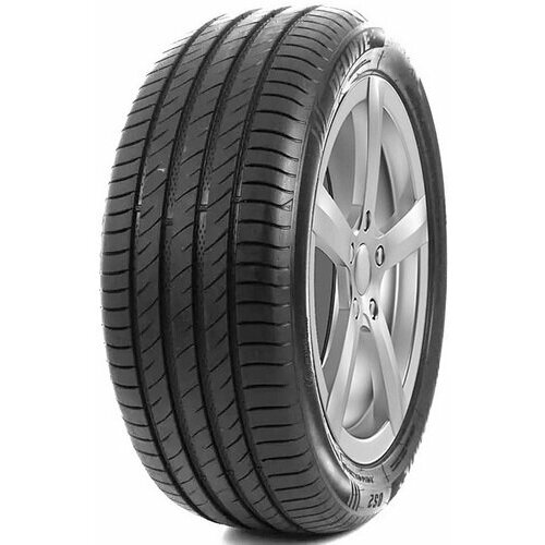 Шина Delinte DS2 SUV 215/70R16 100H