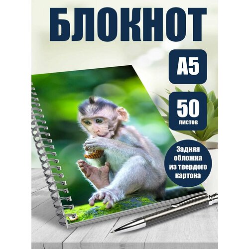 Тетрадь 50 листов, в клетку Животные Обезьяны