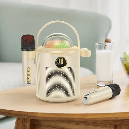 Стильная Музыкальная колонка с двумя микрофонами 450000₽