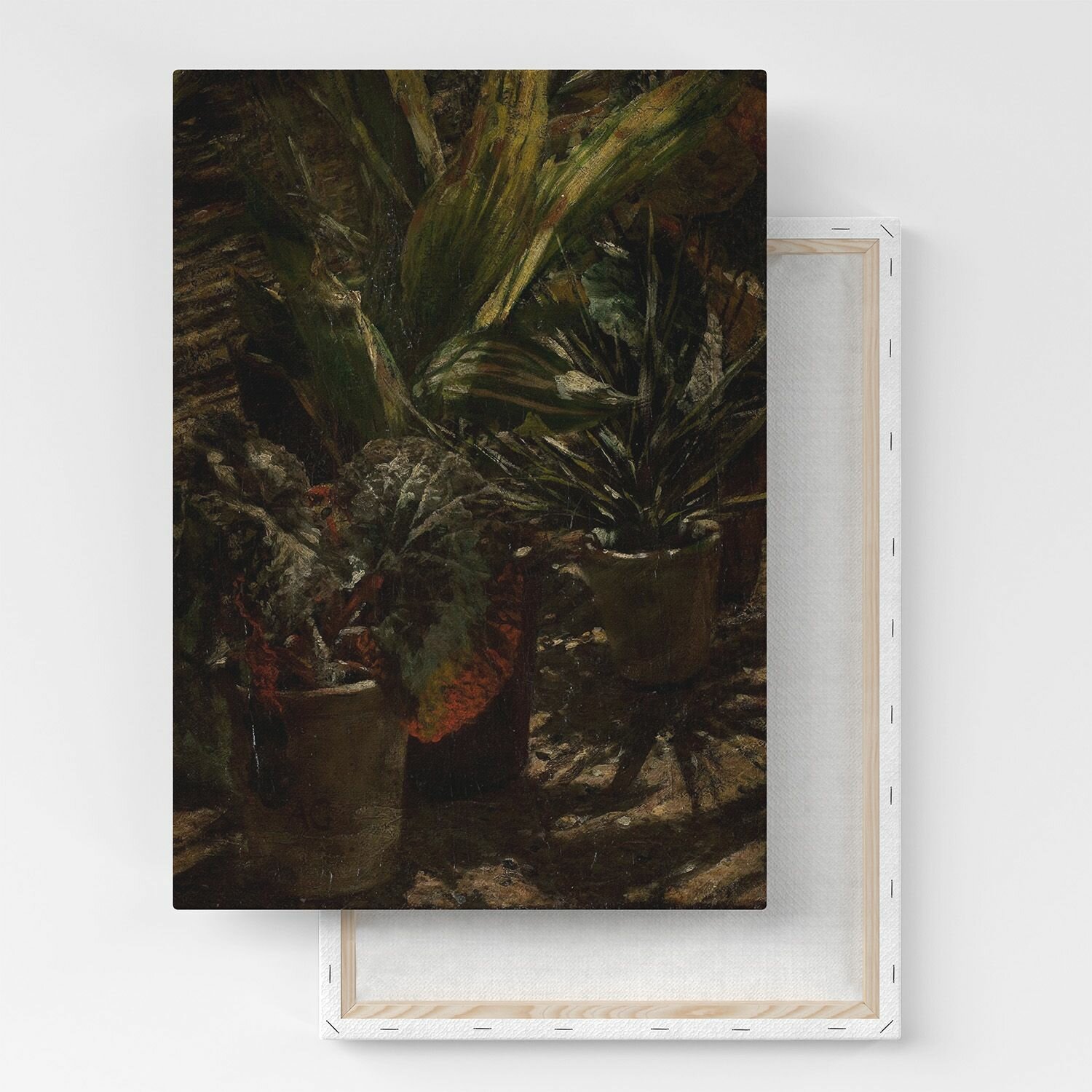 Картина на холсте, репродукция / Александр Герымский - Begonia / Размер 60 x 80 см