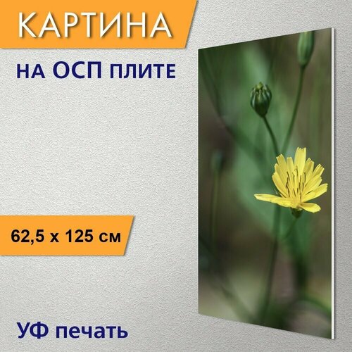 Вертикальная картина на ОСП "Дикий цветок, цветок, летний цветок" 62x125 см. для интерьериа