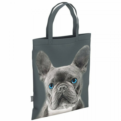 Сумка шоппер ErichKrause, мультиколор сумки для мамы erichkrause сумка шоппер animal carnival 10l 40x32 см