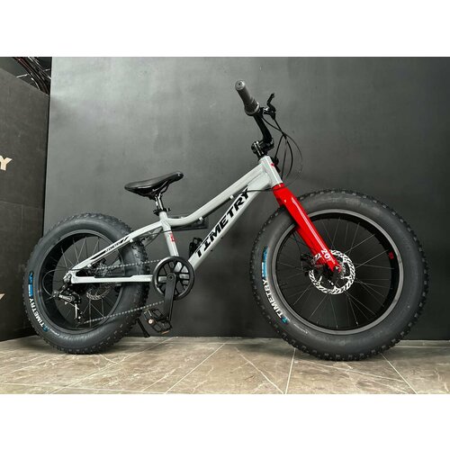 Велосипед фэтбайк Fatbike Time Try TT2157s 20 Алюминиевая рама 12 серый 25500₽