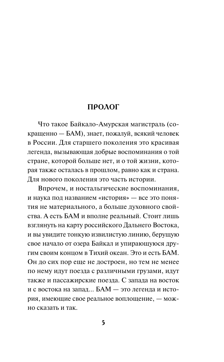 Бригада с запада (Тамоников Александр Александрович) - фото №8