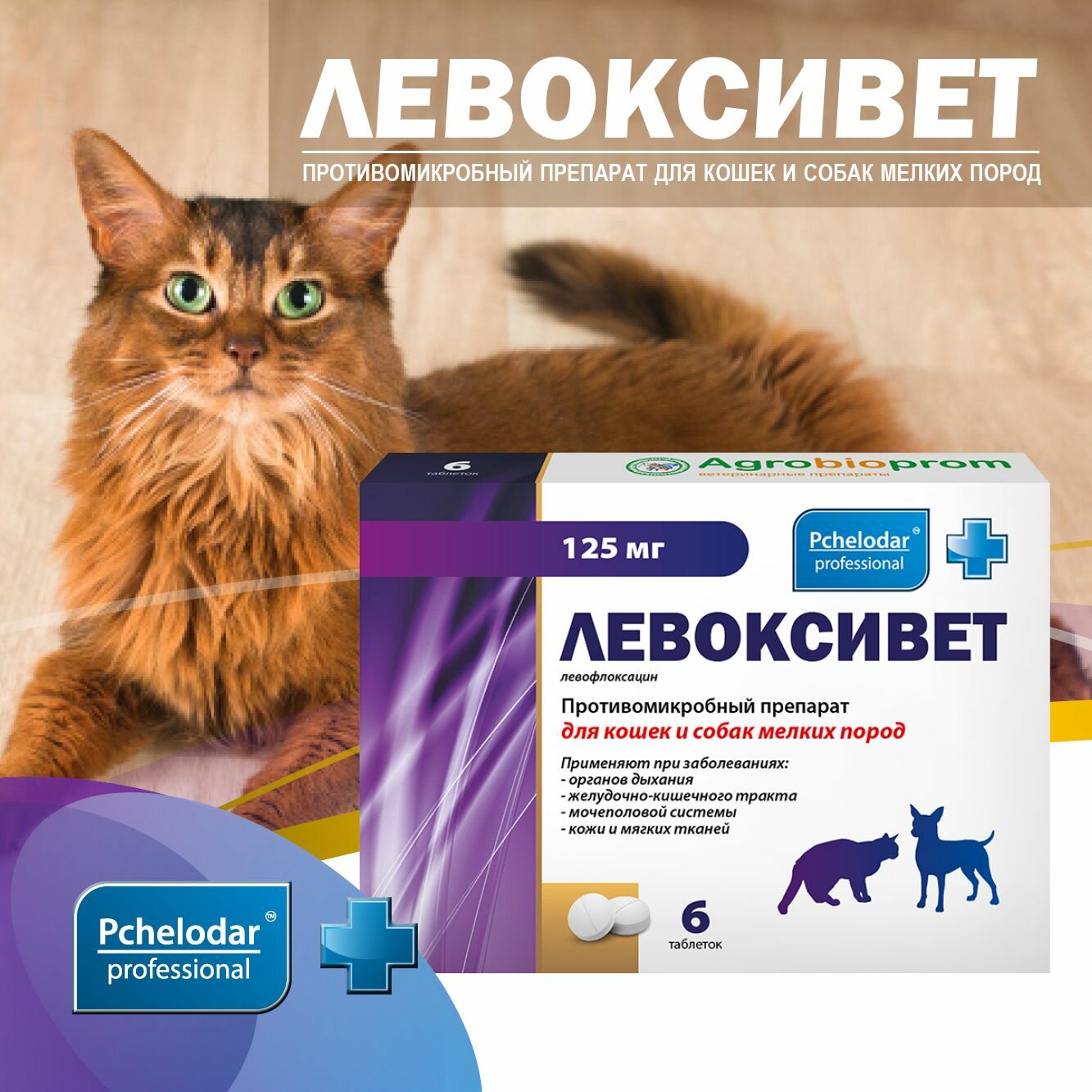 Картинки Левоксивет для лечения заболеваний органов дыхания, ЖКТ и мочеполовой системы у кошек и собак мелких пород, 6 таблеток, Пчелодар