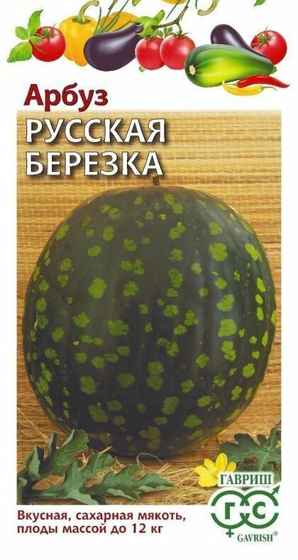 Арбуз Русская березка