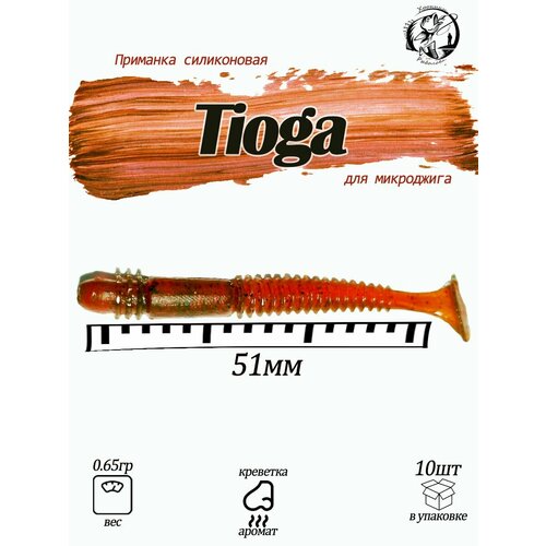 Tioga 2 Силиконовая приманка Fishing Chron съедобная резина