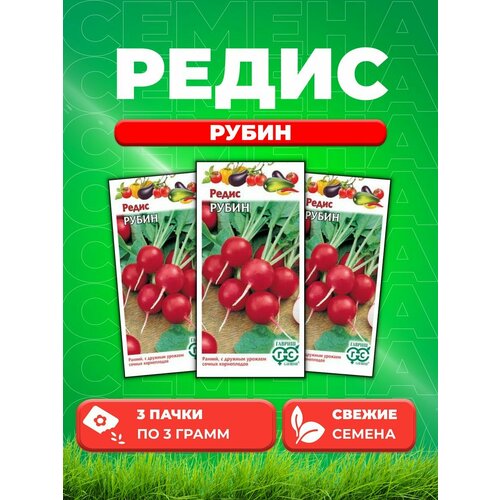 редис рубин 3 0 г серия традиция семена гавриш дача Редис Рубин 3,0 г серия Традиция (3уп)