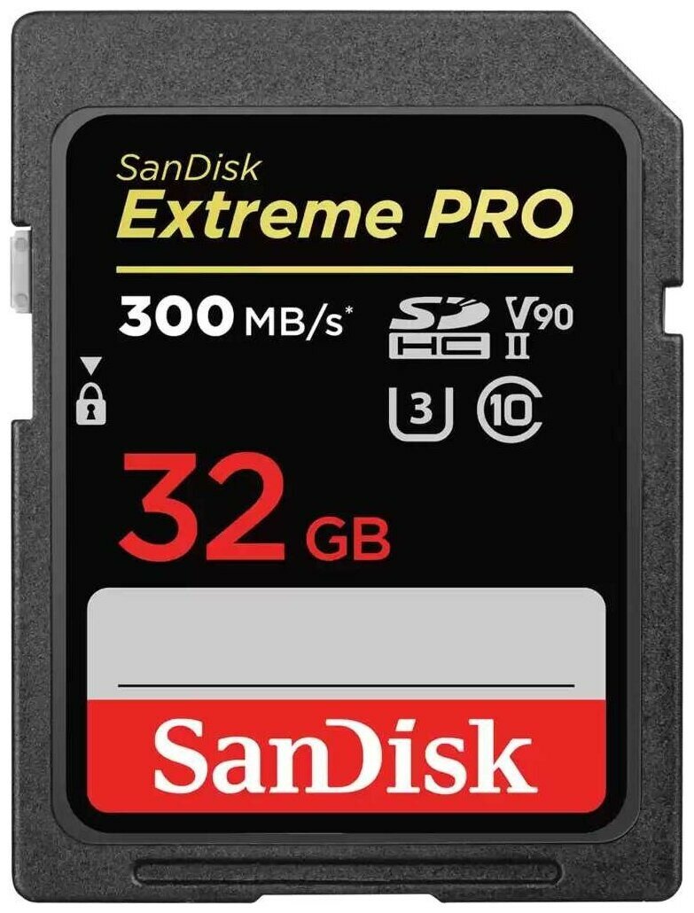 Карта памяти Sandisk SDHC 32Gb Class10 SDSDXDK-032G-GN4IN