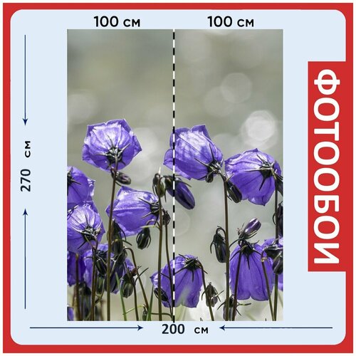 Фотообои Расцветает фиолетовый маленький колокольчик 200x270 см флизелиновыена стену 2960₽
