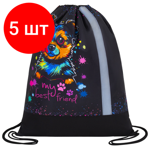 Комплект 5 шт Мешок для обуви юнландия плотный светоотражающая полоса 46х36 см True friend 272410 2419₽