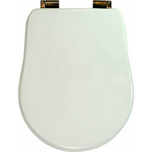 Крышка-сиденье для унитаза Migliore Bella 24684 с микролифтом белый 31072₽