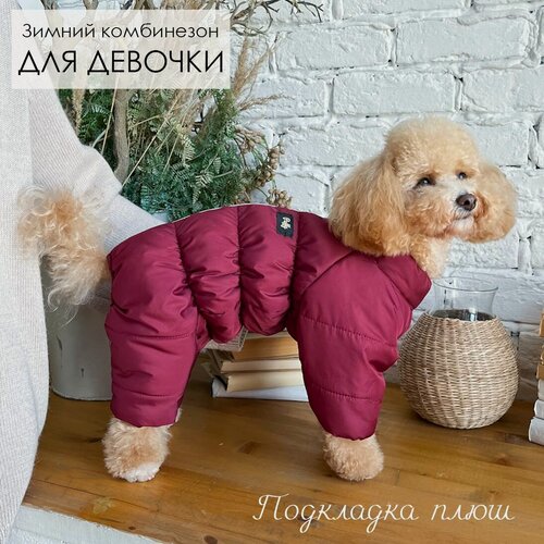 Изображение товара Комбинезон, одежда для собак мелких и средних пород, пуховик для животных (девочек) Норд