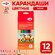Цветные карандаши для школы 12 цветов, трехгранные / Набор цветны...