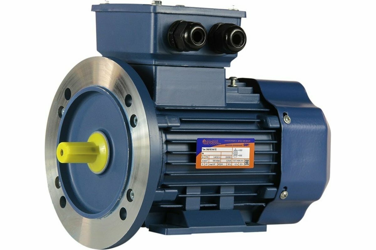 5АИ Электродвигатель 63 В2 0.55/3000 IM 2081 01.01.213528