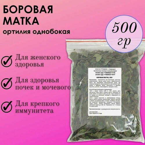 Изображение товара Боровая матка (ортилия однобокая) для женщин, побег с листом цельная, чистая 500г