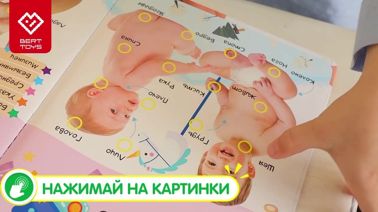 Интерактивная книжка BertToys "Нажималка" 2 в 1 "Я и Мир Вокруг + Цвета", для детей от 1 до 3 лет — фото 1