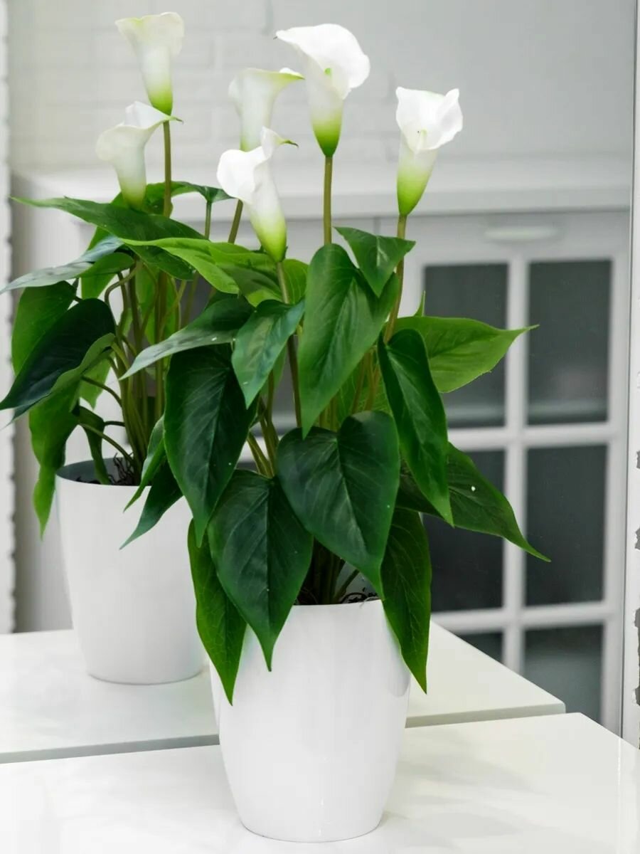 Каллы искусственные латексные в горшке