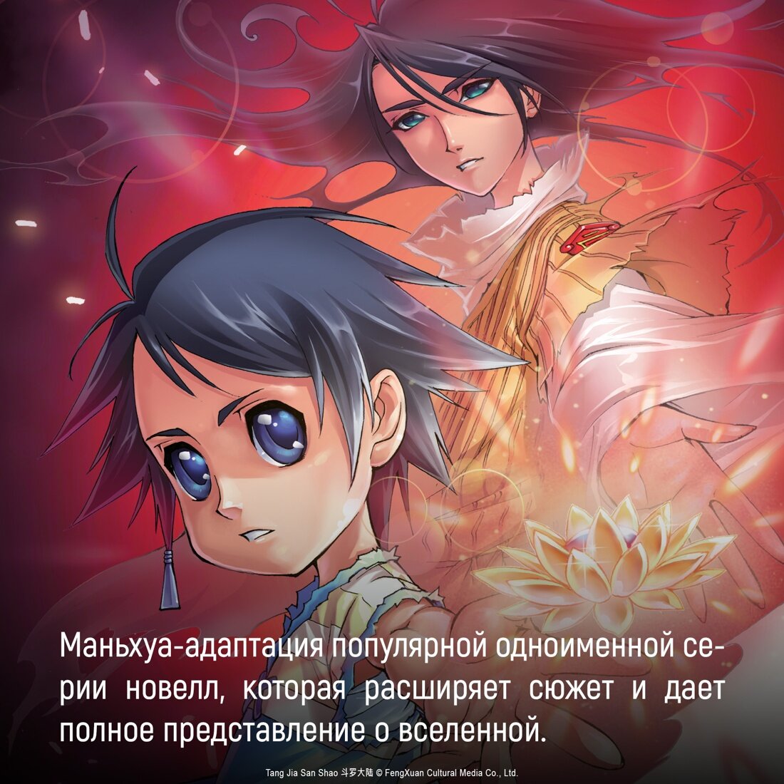 Боевой континент. Книга 1. Перерождение ученика - фото №5