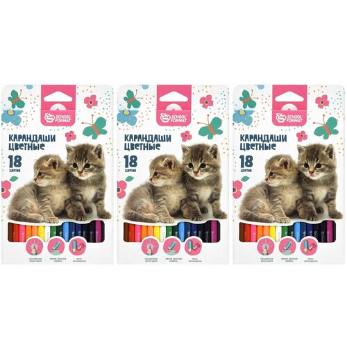 Schoolformat Набор цветных карандашей Пушистые котята,18 цветов,3 шт
