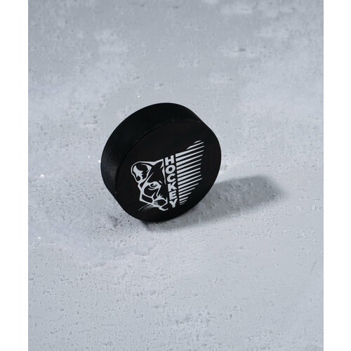Шайба хоккейная Winter Star, взрослая, цвет черный