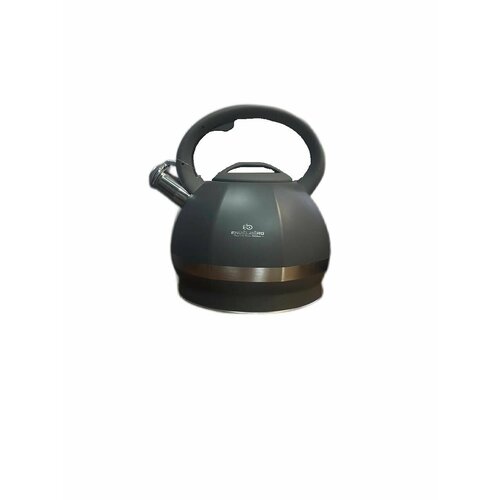 Чайник ENGELBERG EB-6031 35л Серый 168000₽