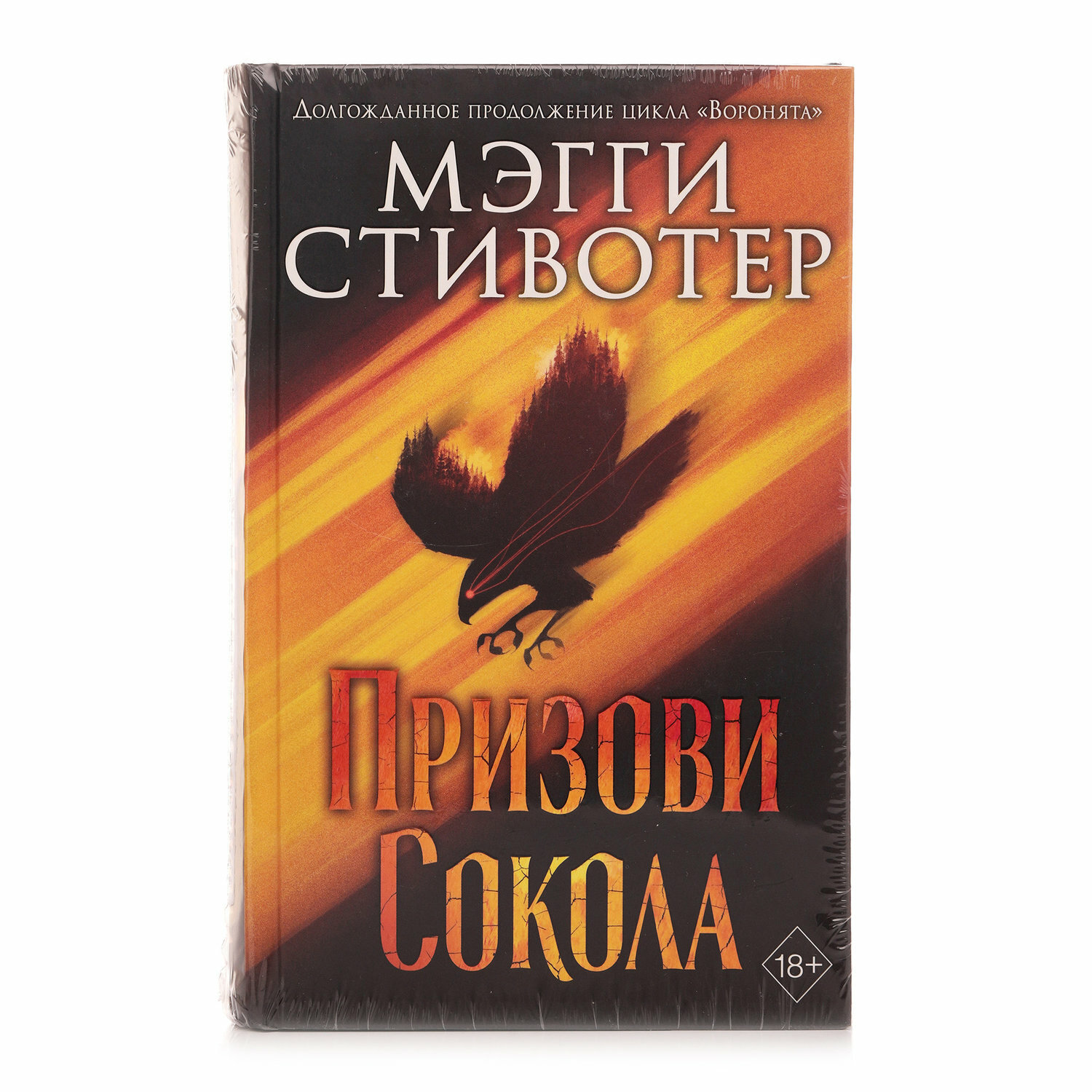 Сновидец. Призови сокола (#1) (Мэгги Стивотер) - фото №13