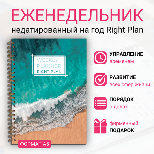 Ежедневник недатированный Right Plan 