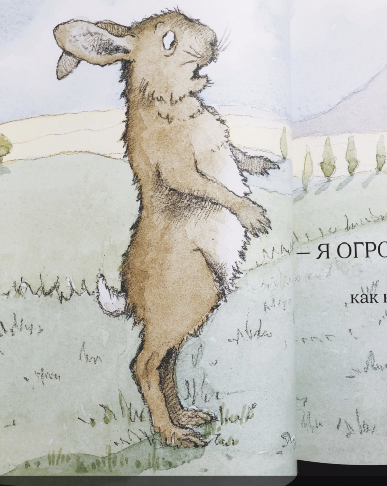 Джулия Дональдсон. Огромный Прыгуар - фото №6