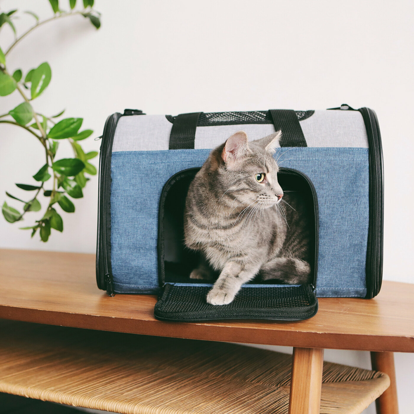 Сумка-переноска для животных, для кошек, для собак, "Не Один Дома" Bag, синий, 40х25х30 см Hoff - фото №8