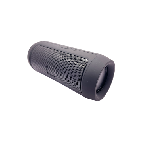 Колонка портативная беспроводная 219900₽