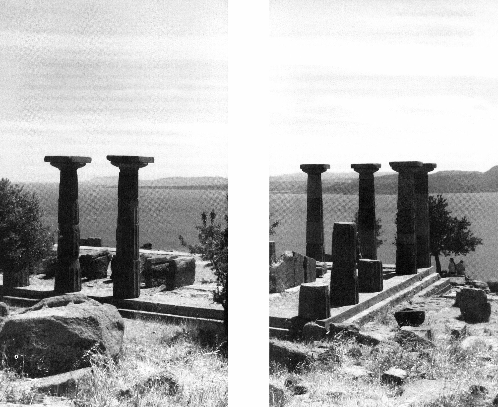 Looking for Theophrastus. Travels in Search of a Lost Philosopher - фото №2