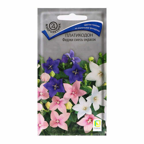 Семена цветов Платикодон Фиджи, смесь окрасок, 25шт платикодон розовые звезды семена цветы