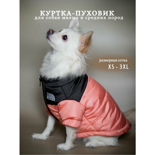 Куртка для собак зимняя, пуховик The dog face, одежда для собак. Размер XS