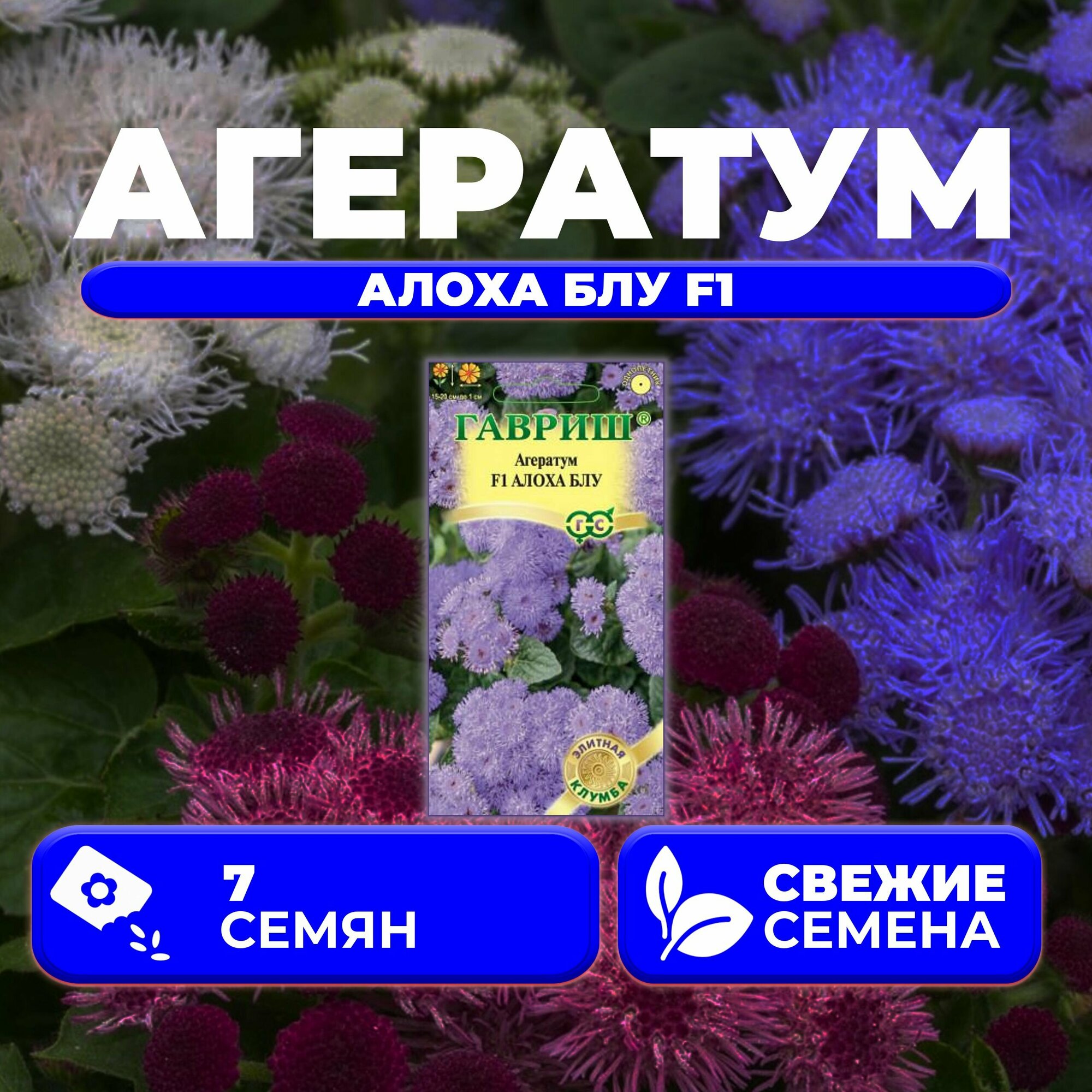 Агератум Алоха Блу F1, 7шт, Гавриш, Элитная клумба (1 уп)