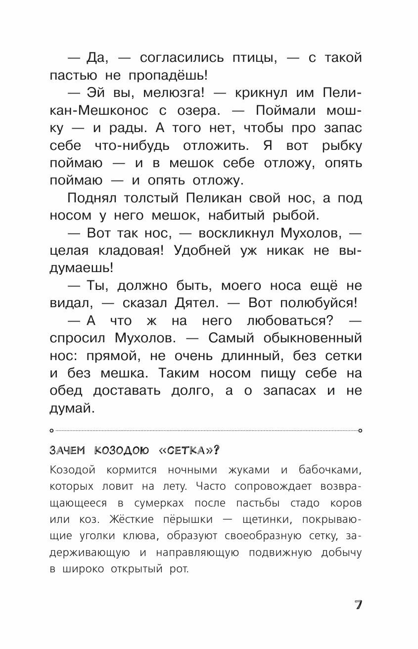 Синичкин календарь (Бианки Виталий Валентинович) - фото №9