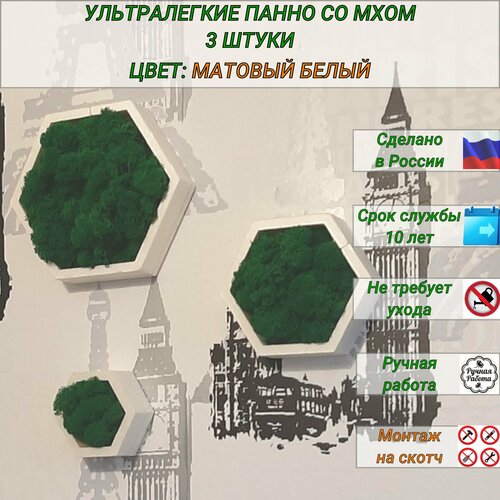 Декоративное панно на стену со стабилизированным мхом, декор для дома 