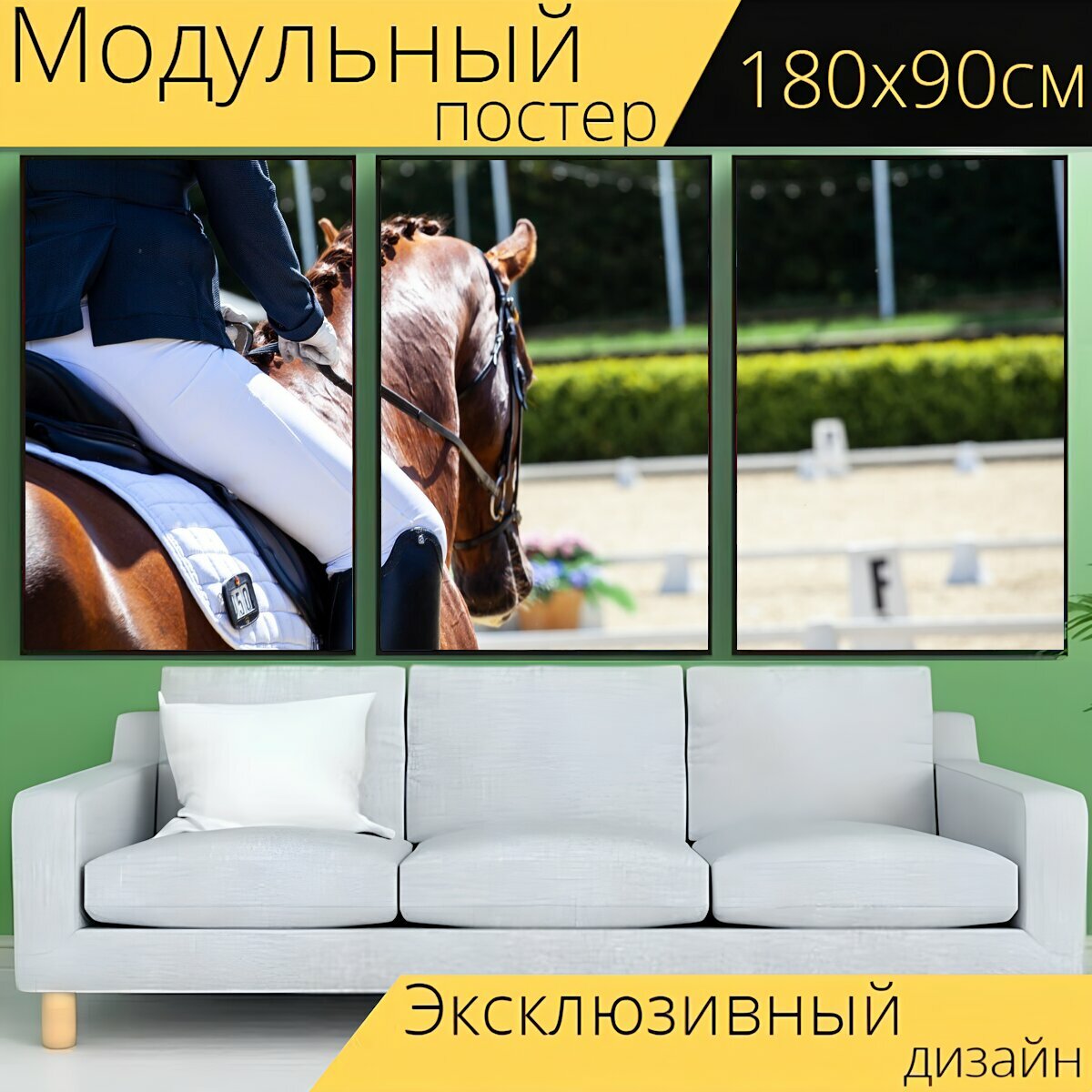 Модульный постер "Выездка, лошади, лошадь" 180 x 90 см. для интерьера