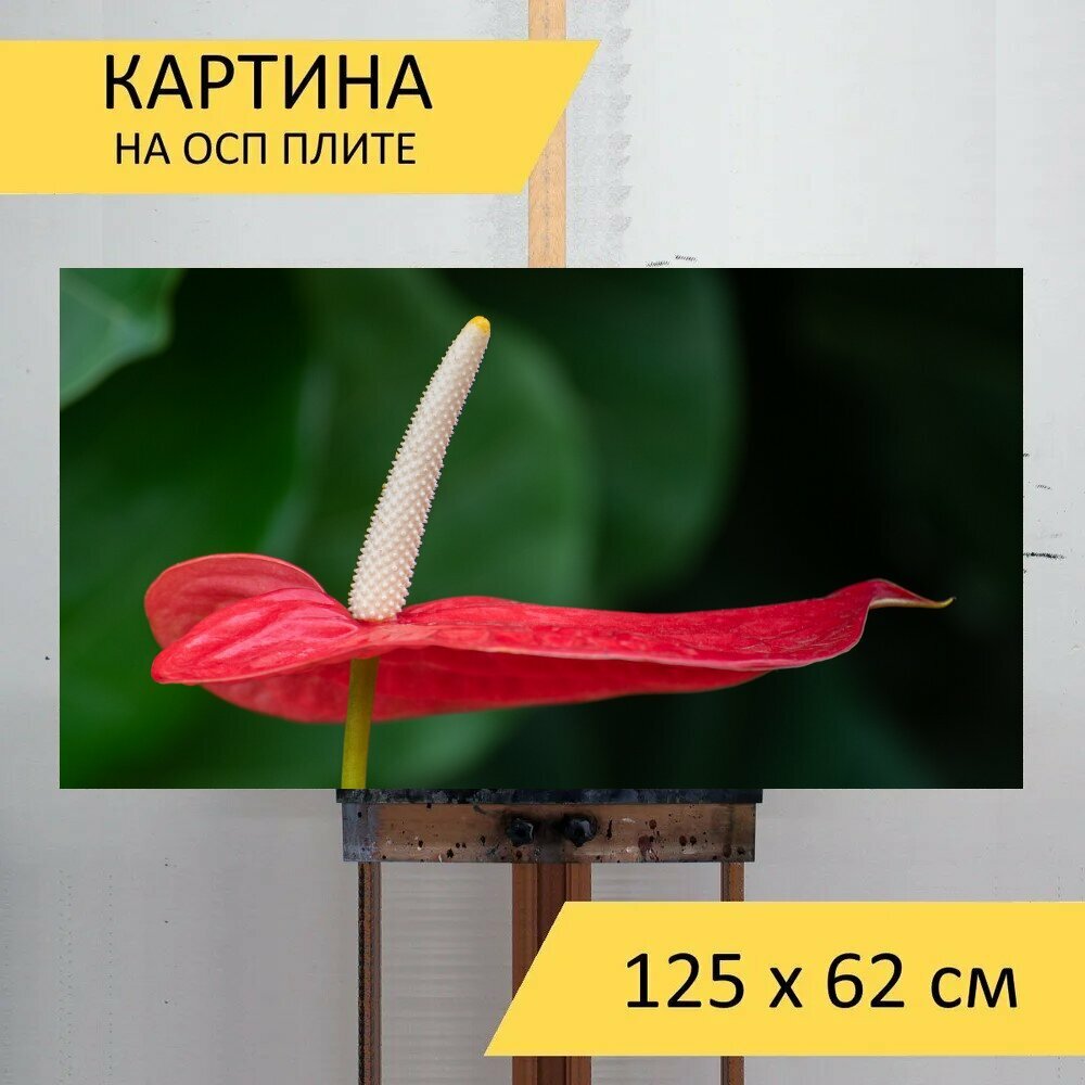 Картина на ОСП 125х62 см. 