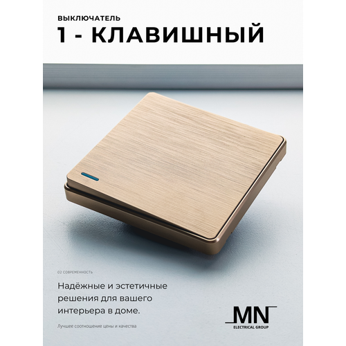 Выключатель одноклавишный Light Gold MN