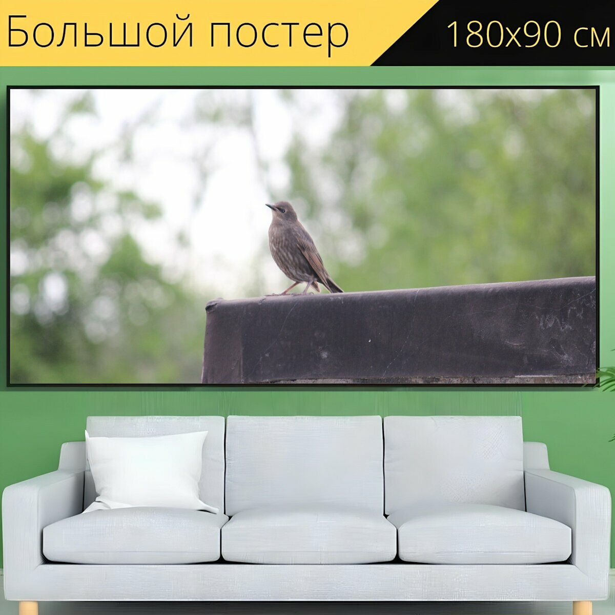 Большой постер "Птица, маленькая птица, дикая природа" 180 x 90 см. для интерьера
