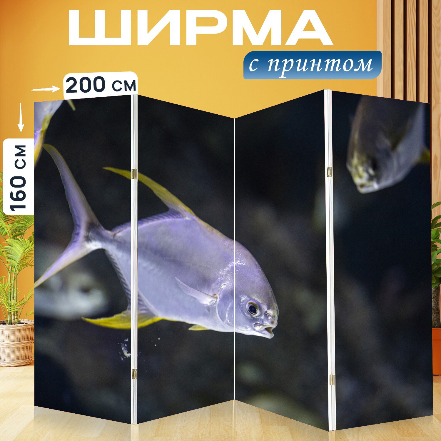 Ширма перегородка с принтом "Рыба, рыбы, море" на холсте - 200x160 см. для зонирования, раскладная