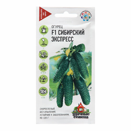 Семена Огурец Сибирский экспресс, F1, 10 шт.