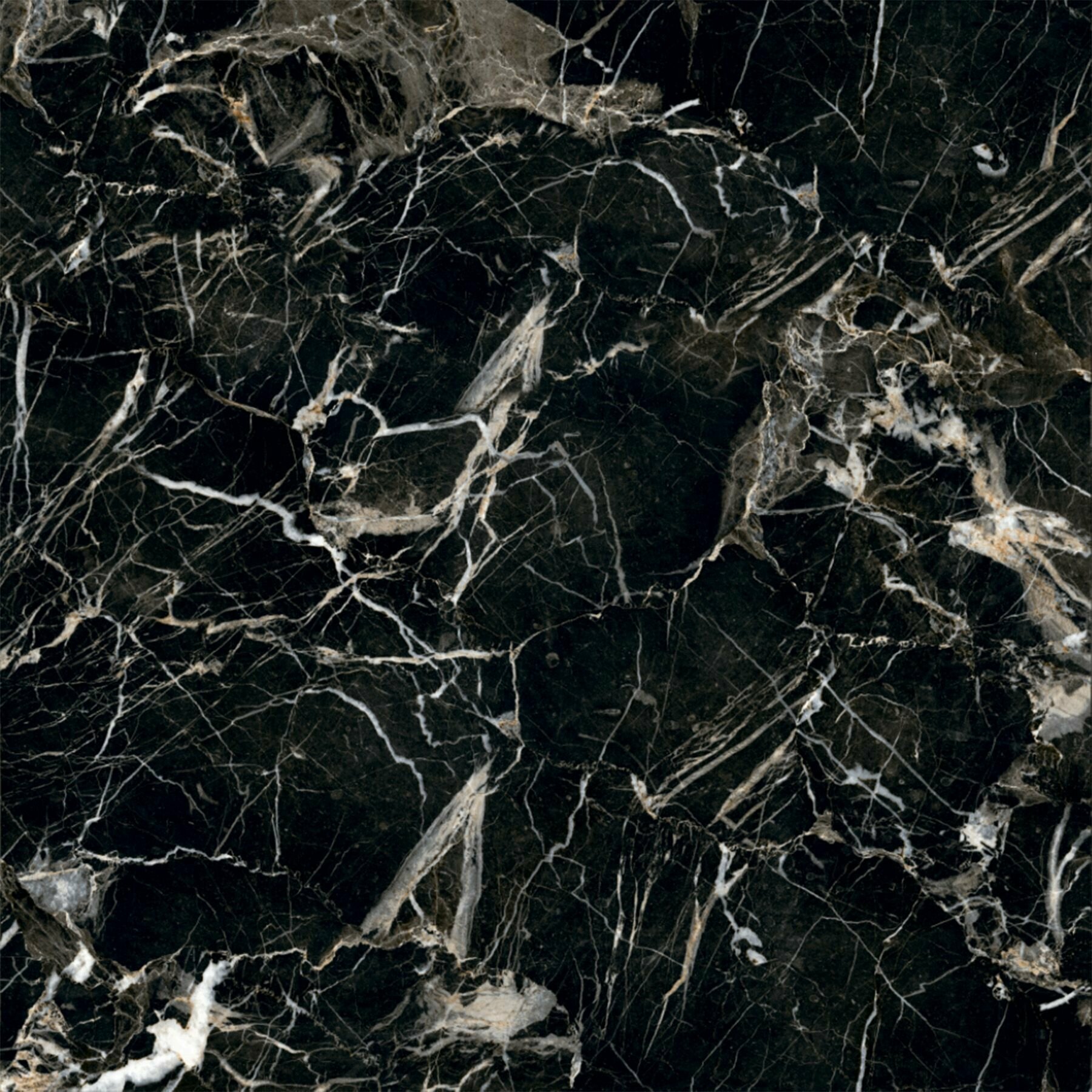 фото Керамогранит AXIOMA GOLDEN BLACK 60х60 см