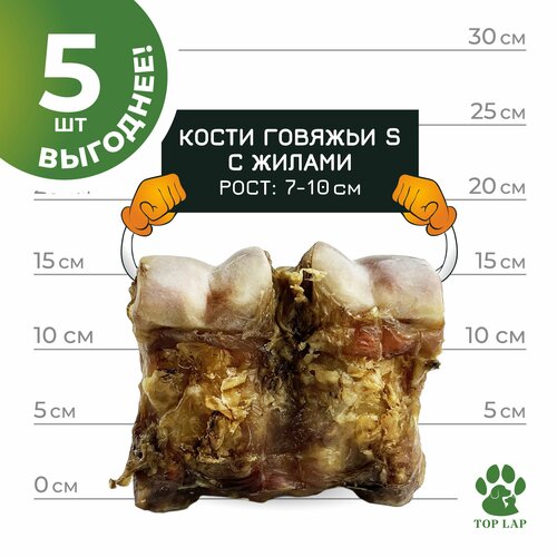 Кость говяжья с жилами для собак Топ 5 штук
