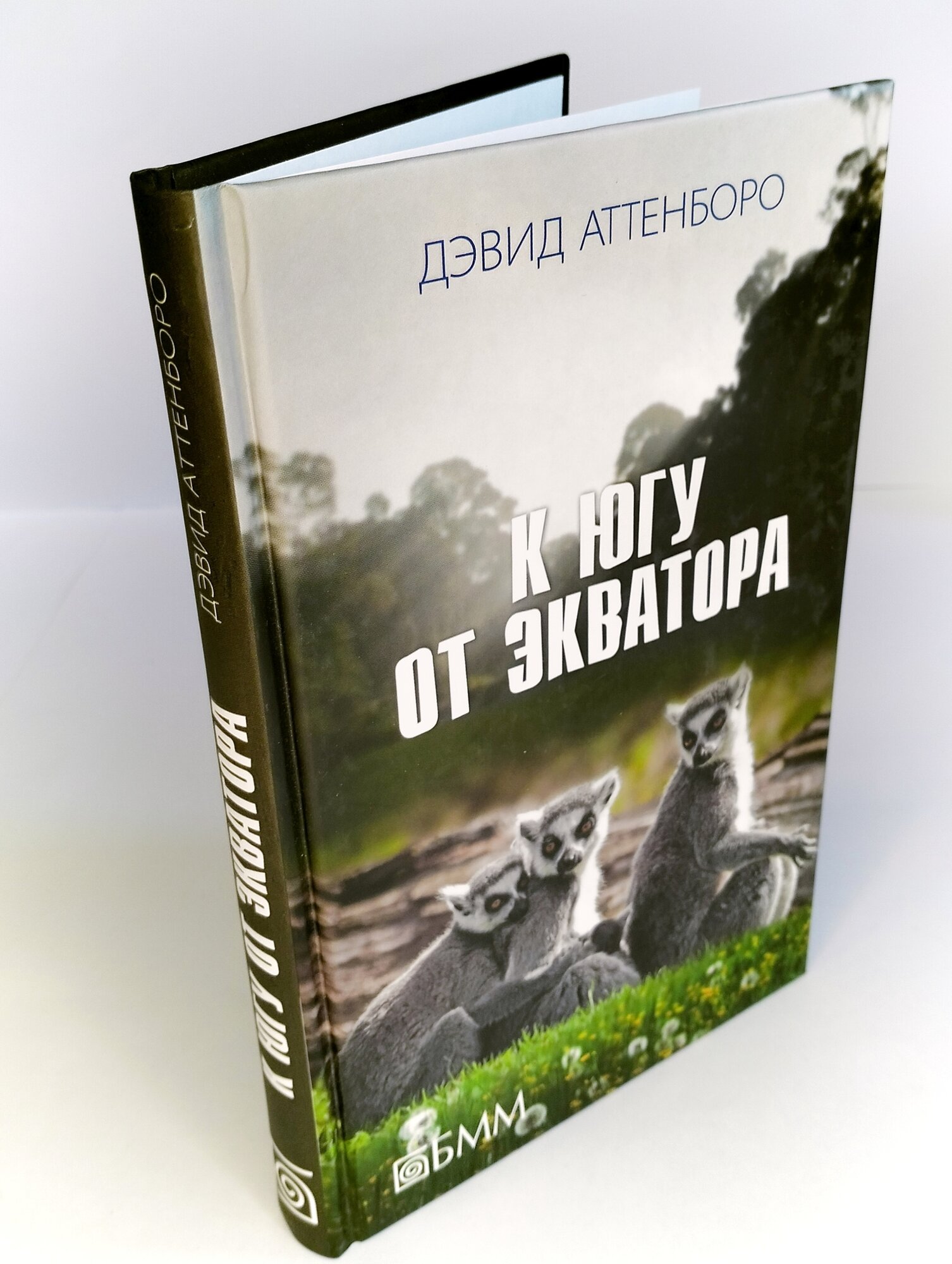 К югу от экватора. Мадагаскарские диковины. Под тропиком Козерога - фото №4