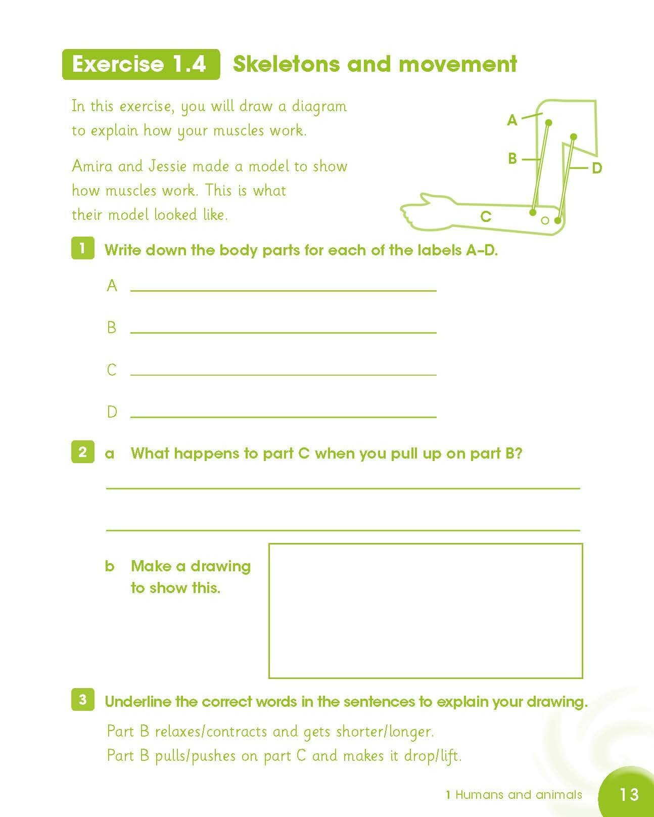 Cambridge Primary Science. Level 4. Activity Book - фото №6