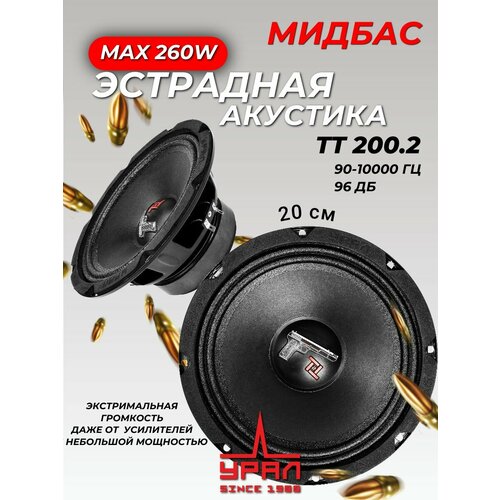 Динамики автомобильные эстрадные TT 200 20 см 5586₽