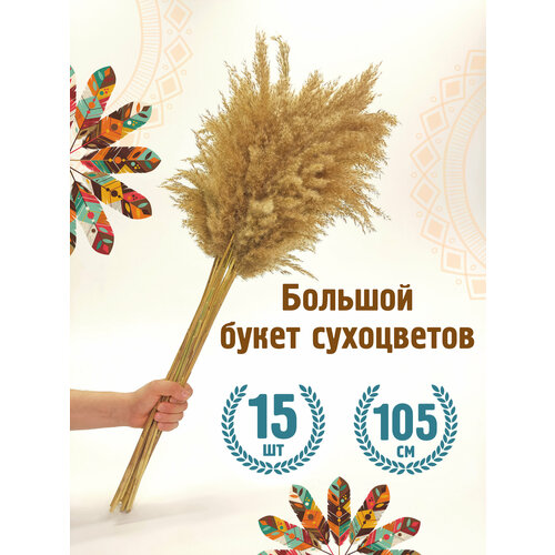 Сухоцветы для декора большой высокий букет