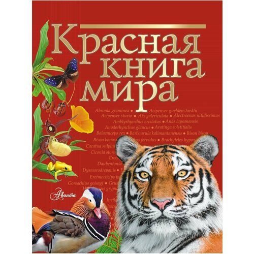 Красная книга мира мигунова елена яковлевна красная книга планеты для детей редкие и исчезающие виды дикой природы